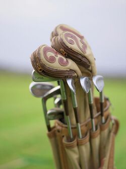 Berbagai jenis stik golf yang tertata di dalam tas golf.